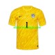 Camisola Eslovénia Jan Oblak 1 Guarda-redes Homem Equipamento Primeiro Euro 2024 Manga Curta
